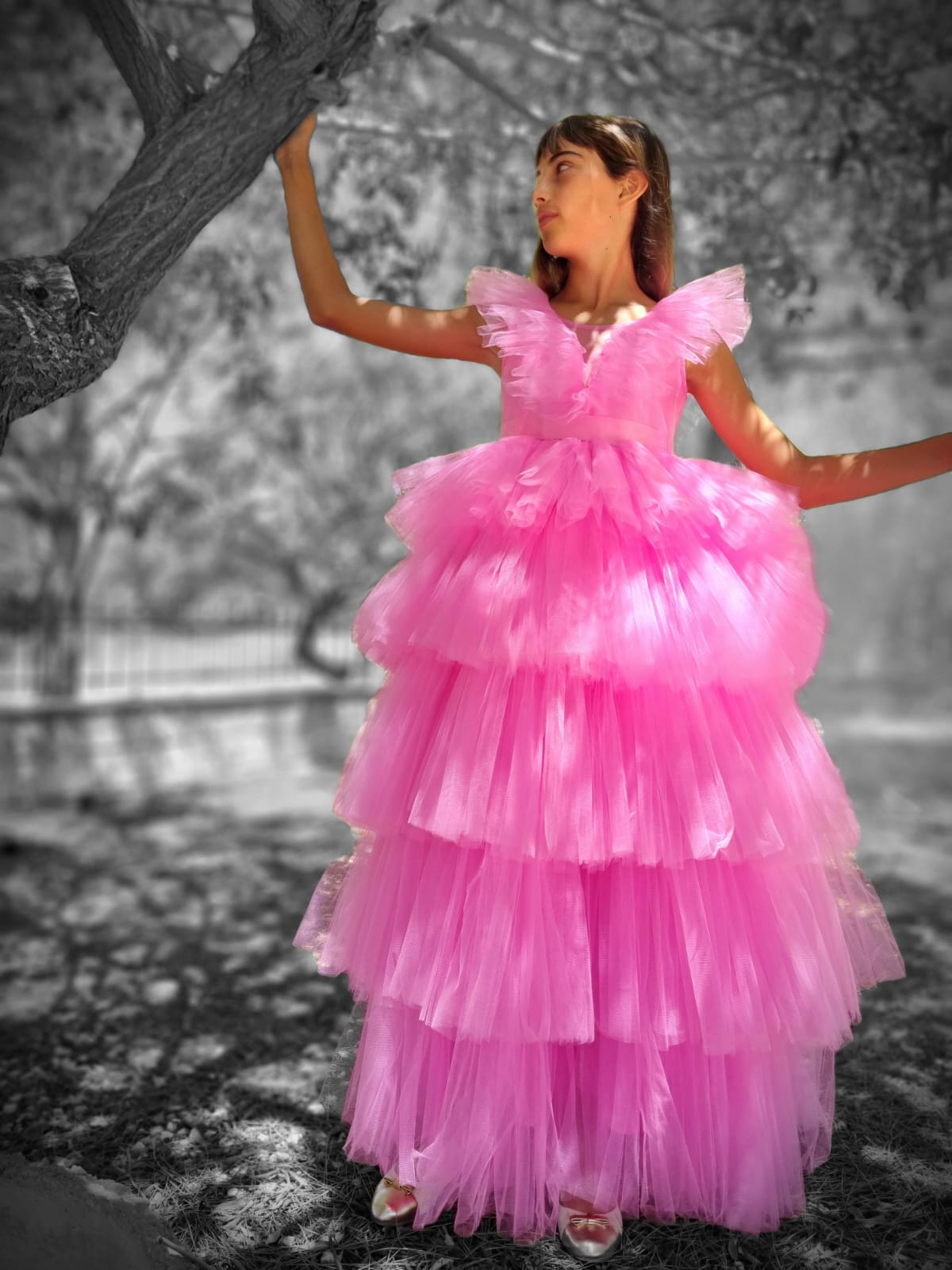 cocobee-Beautiful Princess Rosa Birthday Dress-1