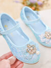 Princess Blue Shoes with Crown