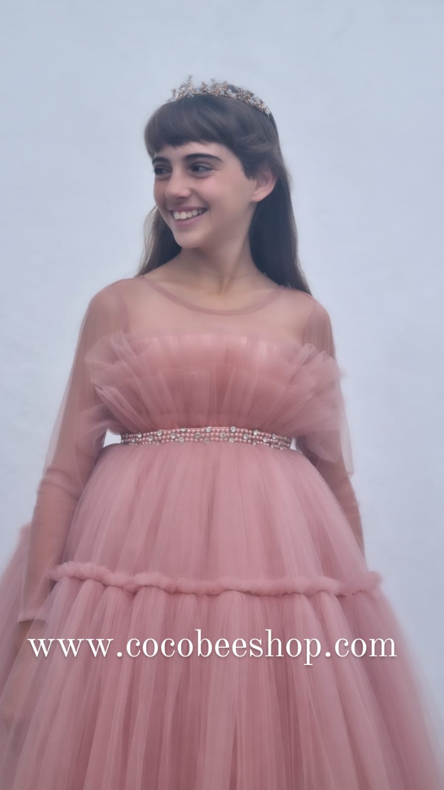 cocobee-Dusty Pink Princess Gown Lisa