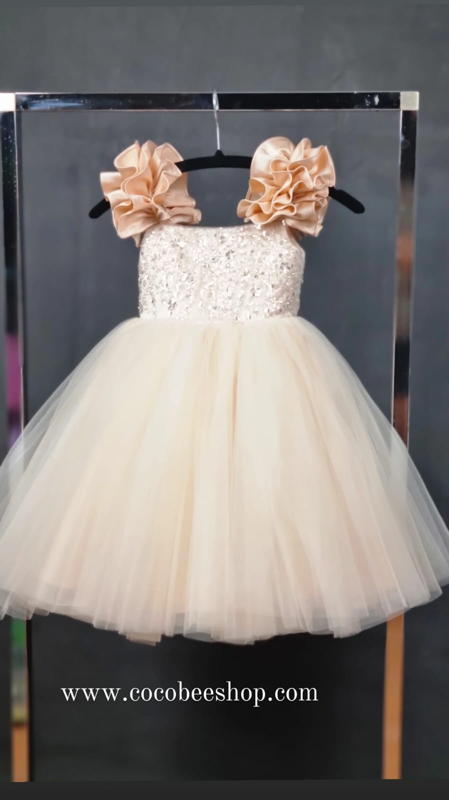 cocobee-Party Dusty Peach Angelina Princess Dress1
