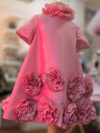 Pink Roses Gracie Dress 2