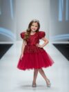 Burgundy Princess Dress for Birthday party