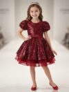 Burgundy Sequinn Party Dress for baby girls