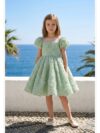 Green rose mint dress